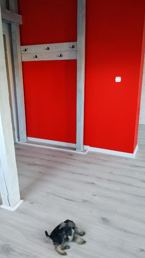 Apartament Witkacego Czerwony Slupsk Exterior photo